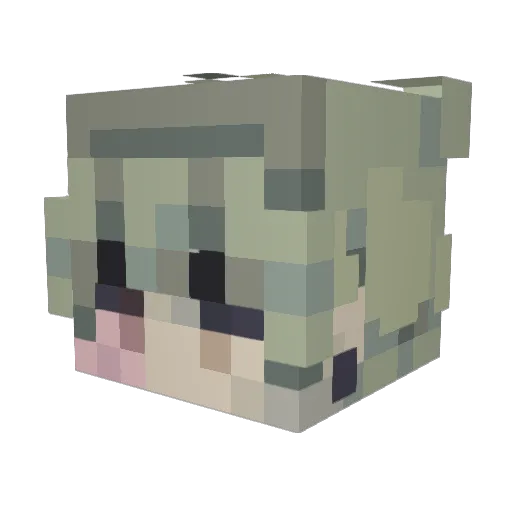 PizzaProgess Minecraft avatar head, 3D render