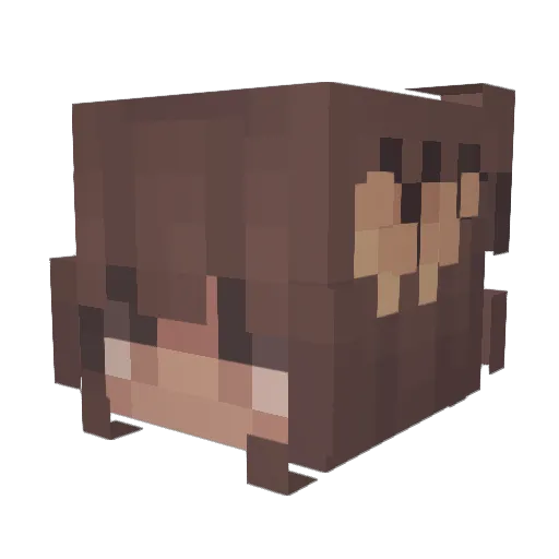PizzaSalami8 Minecraft avatar head, 3D render