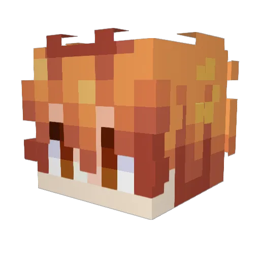 PizzaaaPupp Minecraft avatar head, 3D render