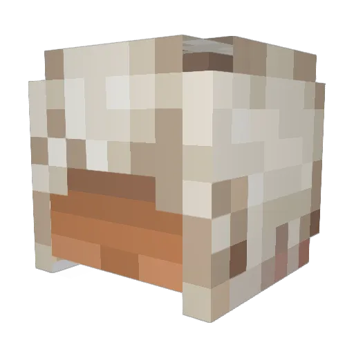 Pizzafan007 Minecraft avatar head, 3D render