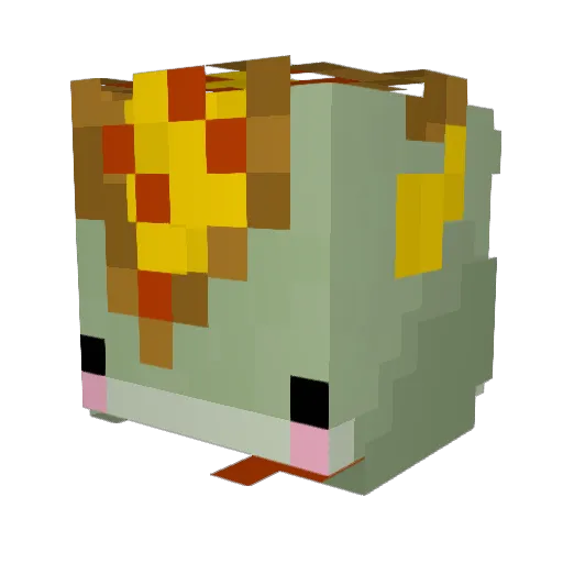 Pizzafwog Minecraft avatar head, 3D render