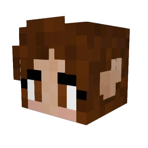 Pj_Lynn Minecraft avatar head, 3D render