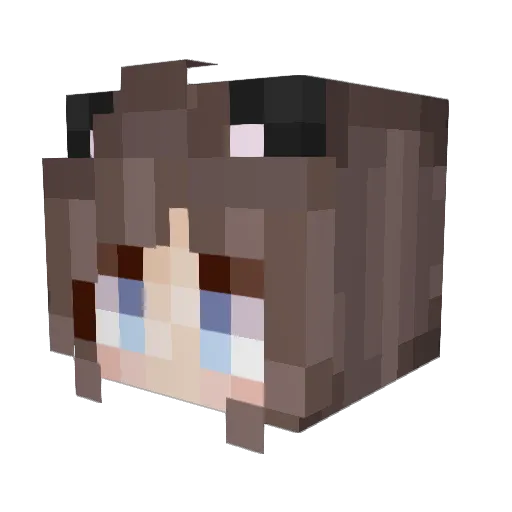 PjayScribbles Minecraft avatar head, 3D render