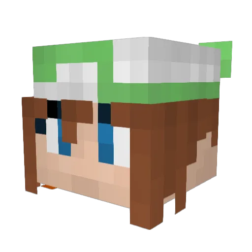 PjmaRanger Minecraft avatar head, 3D render