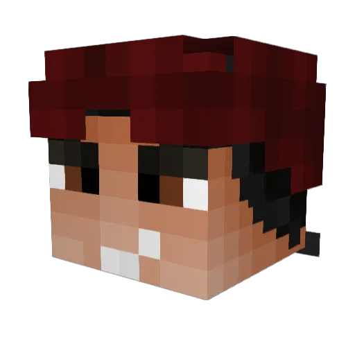 Pjvm2004_ Minecraft avatar head, 3D render