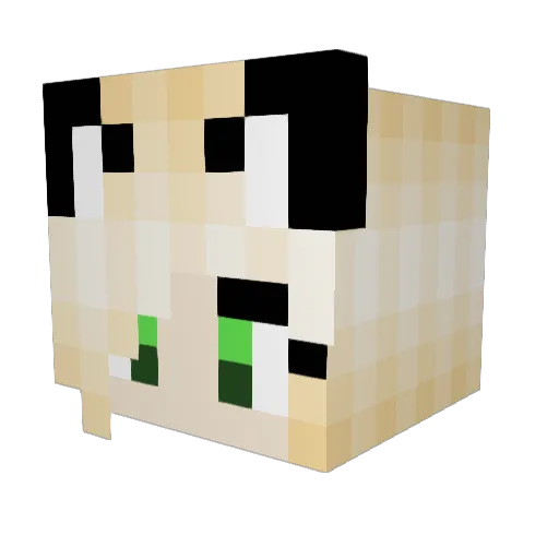 PkMags Minecraft avatar head, 3D render