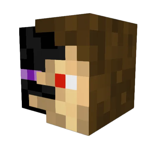 PkPirate Minecraft avatar head, 3D render