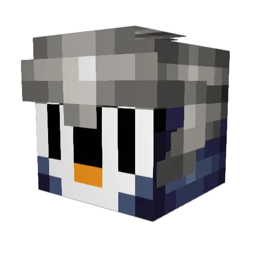 Pk_Penguin Minecraft avatar head, 3D render
