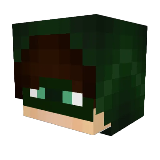 PkmEppickz Minecraft avatar head, 3D render
