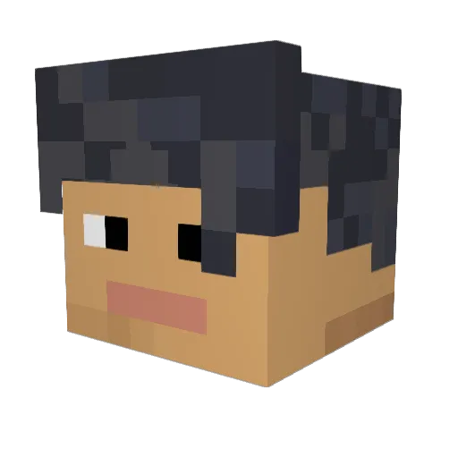 Pkmaster84 Minecraft avatar head, 3D render