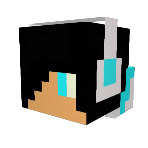 Pl1705 Minecraft avatar head, 3D render