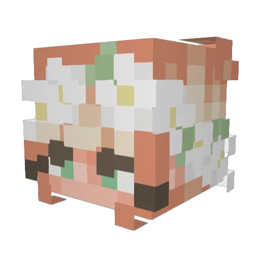 PlKa42 Minecraft avatar head, 3D render