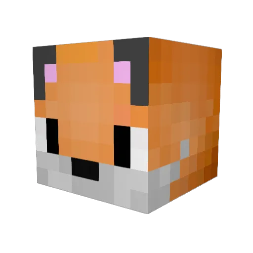 PlNTOUS Minecraft avatar head, 3D render
