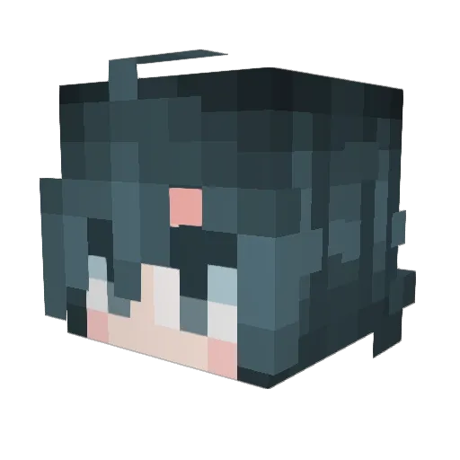 PlSS_Biscuit Minecraft avatar head, 3D render