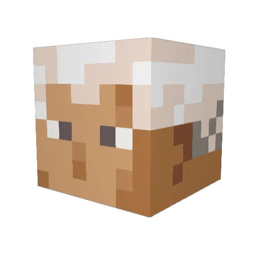PlaZma_Cat Minecraft avatar head, 3D render