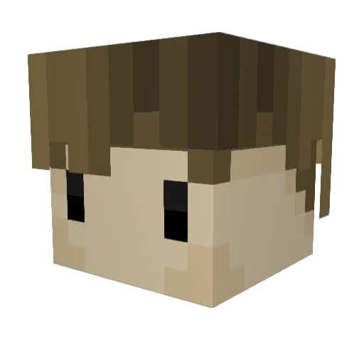 Plabner1 Minecraft avatar head, 3D render