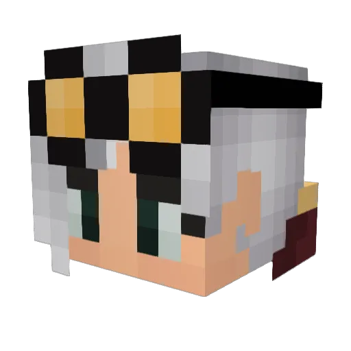 Placentimeter Minecraft avatar head, 3D render