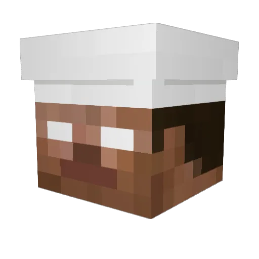 Plach87 Minecraft avatar head, 3D render