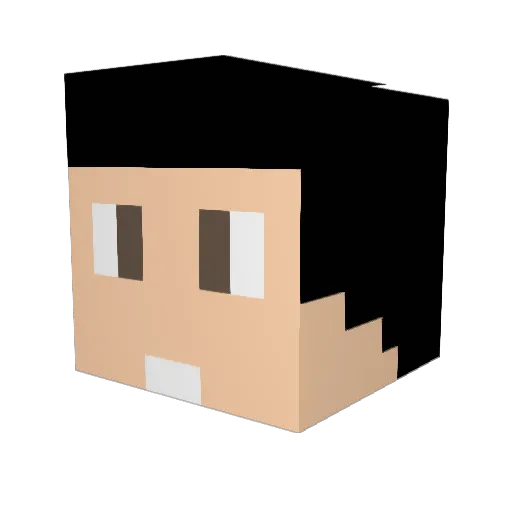 Placide13 Minecraft avatar head, 3D render
