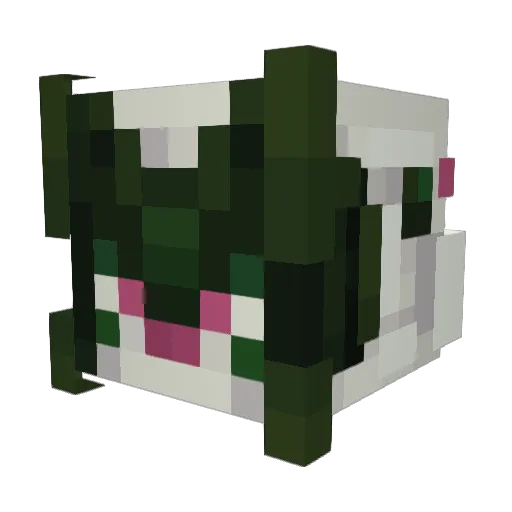 PlaguePossum Minecraft avatar head, 3D render