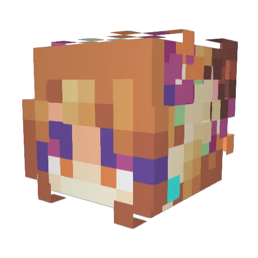 Plagueflowers Minecraft avatar head, 3D render