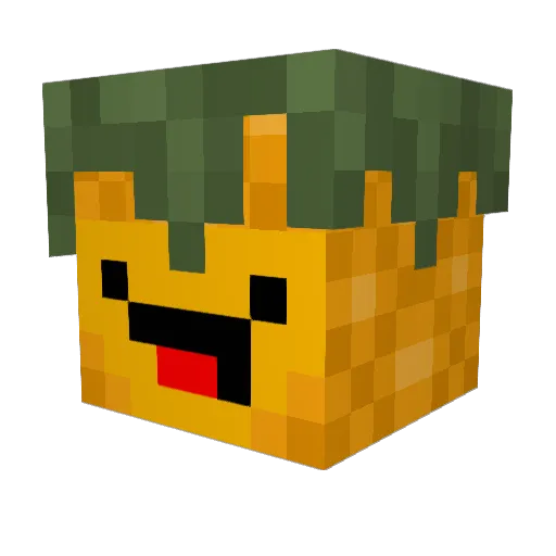 PlaidTulip Minecraft avatar head, 3D render