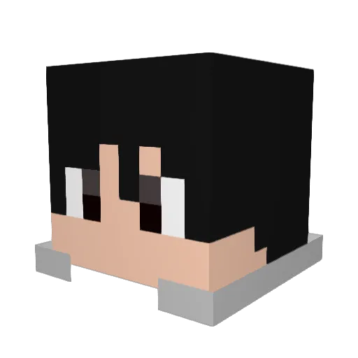 Plaier99 Minecraft avatar head, 3D render