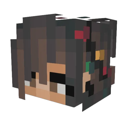 PlainBurrito669 Minecraft avatar head, 3D render