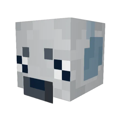 PlainCheetah Minecraft avatar head, 3D render