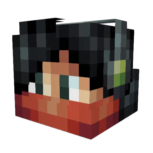 Plainboy Minecraft avatar head, 3D render