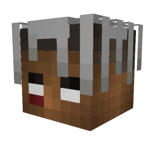 Plaind Minecraft avatar head, 3D render