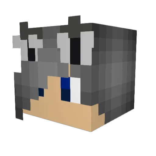 PlainsWalker05 Minecraft avatar head, 3D render