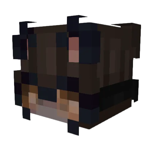 PlakSiva Minecraft avatar head, 3D render