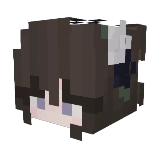 Plamkaa Minecraft avatar head, 3D render