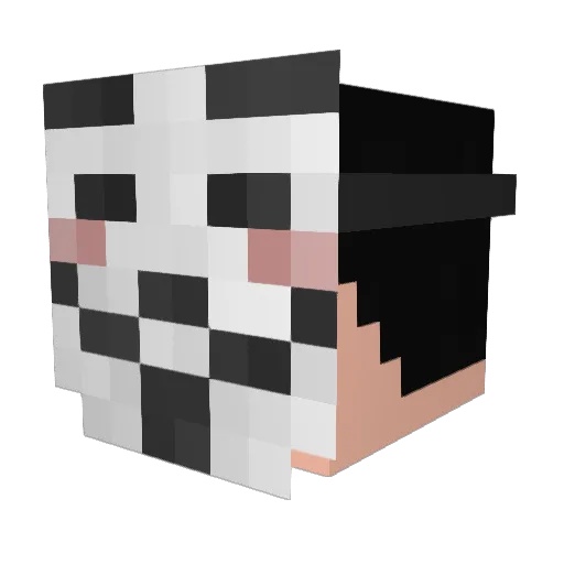 PlanBe1337 Minecraft avatar head, 3D render