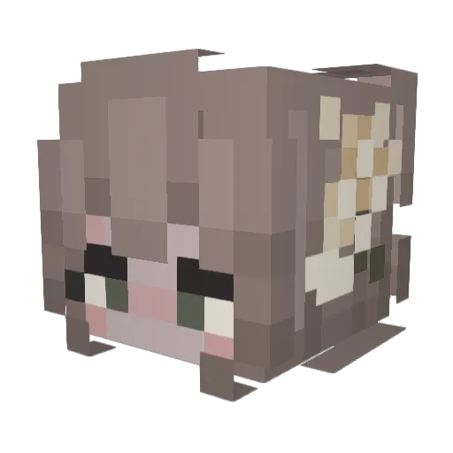 Planaxis_ Minecraft avatar head, 3D render