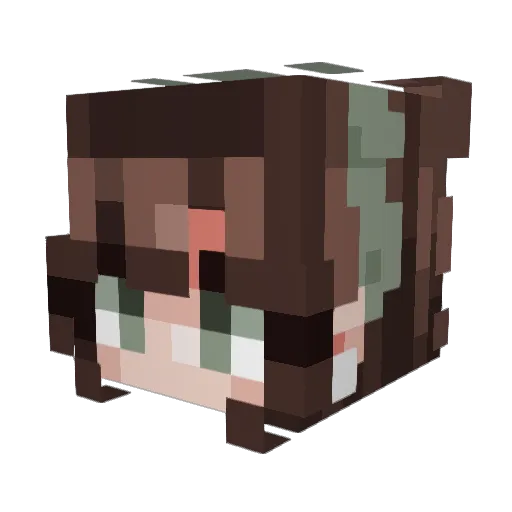 PlaneZebra97993 Minecraft avatar head, 3D render