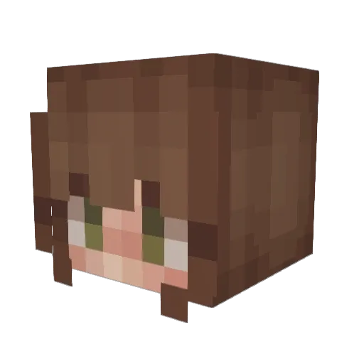 PlanetCactus Minecraft avatar head, 3D render