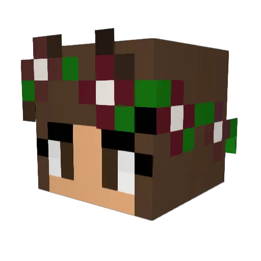 PlanetGallifrey Minecraft avatar head, 3D render