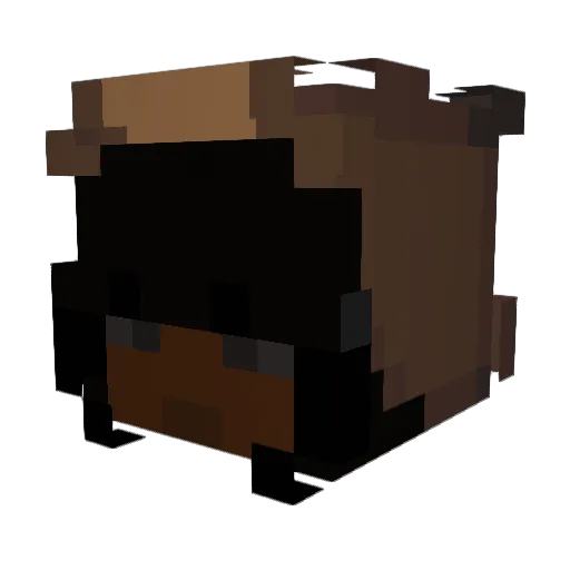 PlanetJ Minecraft avatar head, 3D render