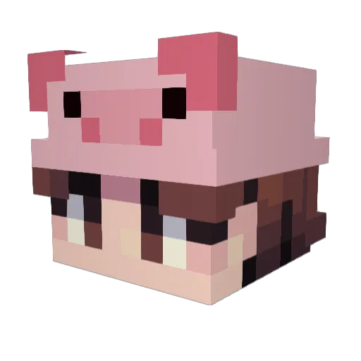 PlanetPiggy Minecraft avatar head, 3D render