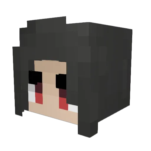 Planet___ Minecraft avatar head, 3D render