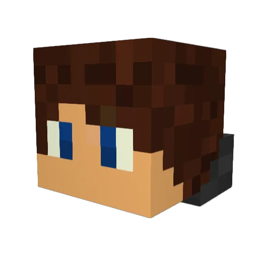 PlanetariumBro3 Minecraft avatar head, 3D render