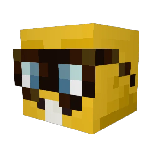 PlanettNeptunee Minecraft avatar head, 3D render