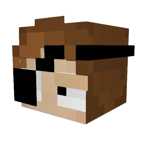 Plankers Minecraft avatar head, 3D render