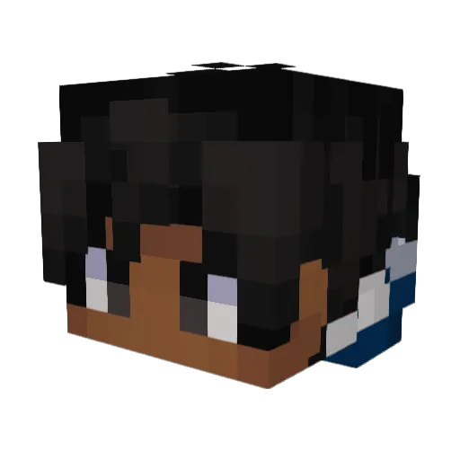 Planket Minecraft avatar head, 3D render