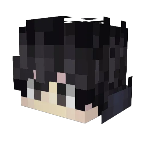 Planky00 Minecraft avatar head, 3D render