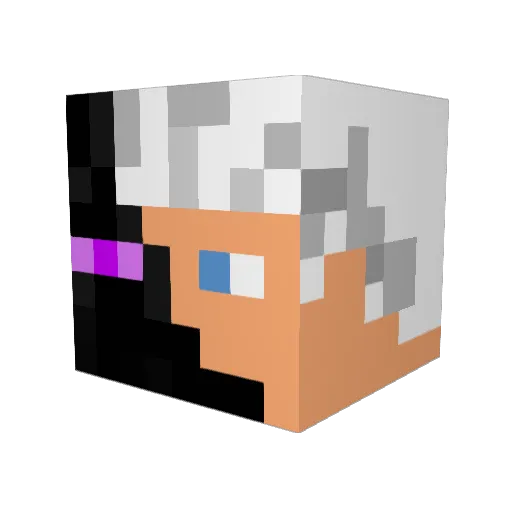 Plannetwolf Minecraft avatar head, 3D render