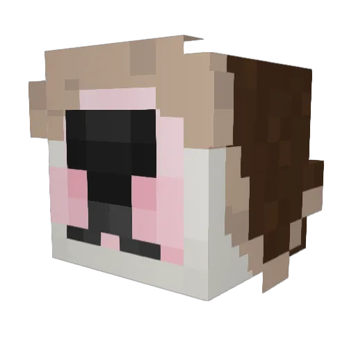 PlantBasedMeat Minecraft avatar head, 3D render
