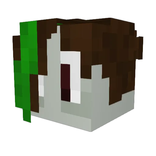 PlantCentral Minecraft avatar head, 3D render